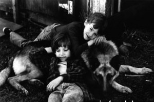 Radio Flyer Fotoğrafı