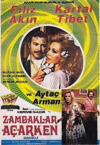Zambaklar Açarken (1973) afişi