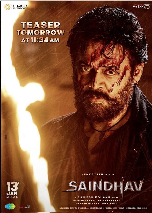 Saindhav (2024) afişi