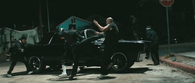 Yeşil Yaban Arısı Fotoğrafı