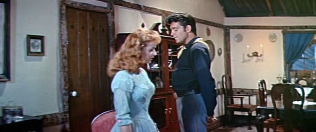 Oturan Boğa Fotoğrafı