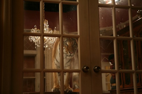 Kaplan Kapanı fotoğrafı