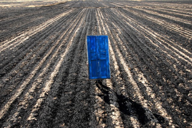 Serçelerin Şarkısı Fotoğrafı