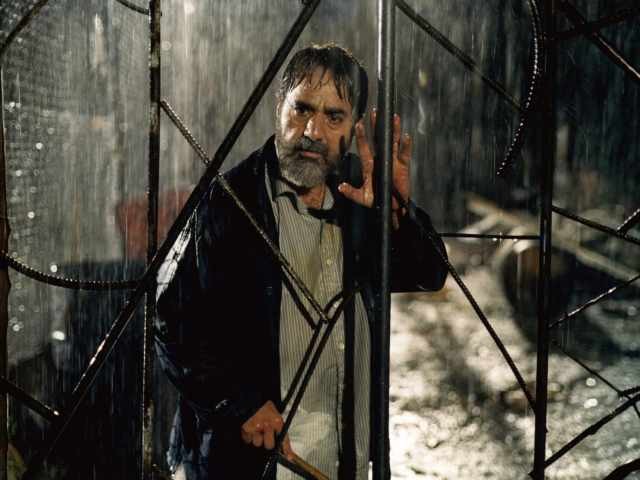 Söğüt Ağacı Fotoğrafı