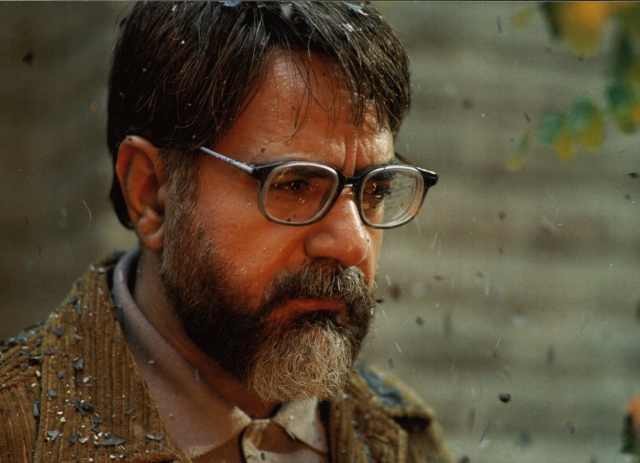 Söğüt Ağacı Fotoğrafı