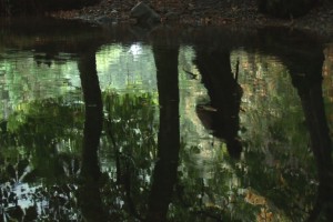 The Hunt For Gollum Fotoğrafı