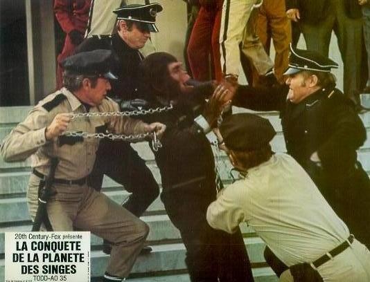 Maymunlar Gezegeninde isyan fotoğrafı