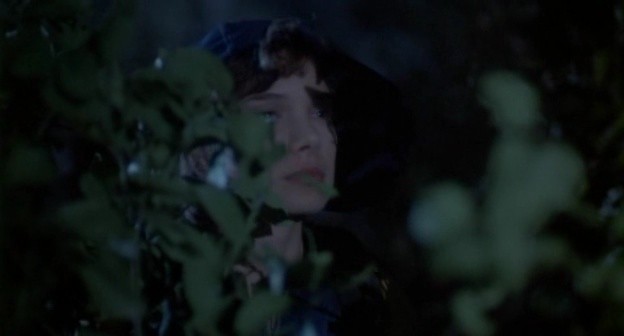 Gece Yaratıkları Fotoğrafı