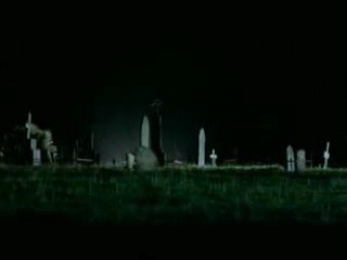 The Locals Fotoğrafı