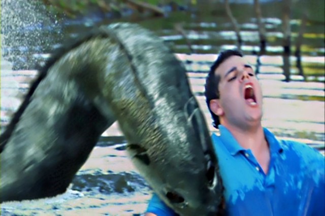 Razortooth fotoğrafı