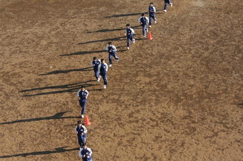 The Blue Bird Fotoğrafı