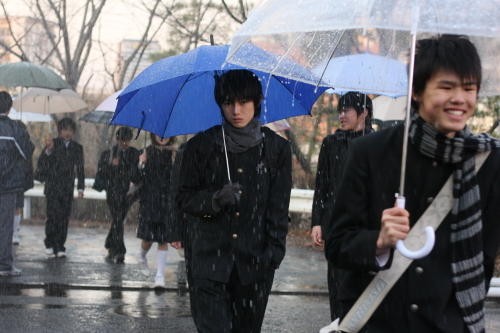 The Blue Bird Fotoğrafı