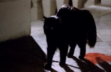 Il Tuo Vizio è Una Stanza Chiusa E Solo Io Ne Ho La Chiave Fotoğrafı