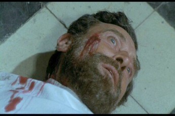 Werewolf Shadow Fotoğrafı