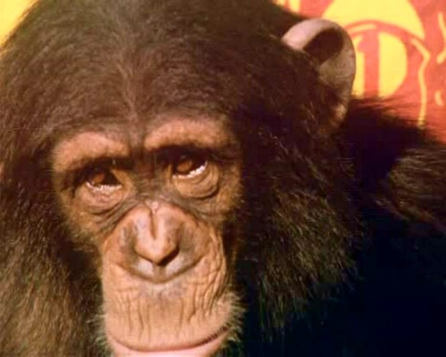 Motorsikletli çocuklar Fotoğrafı