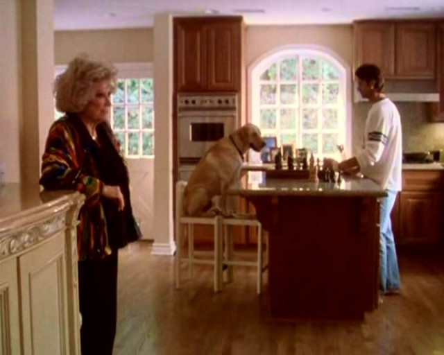 Motorsikletli çocuklar Fotoğrafı