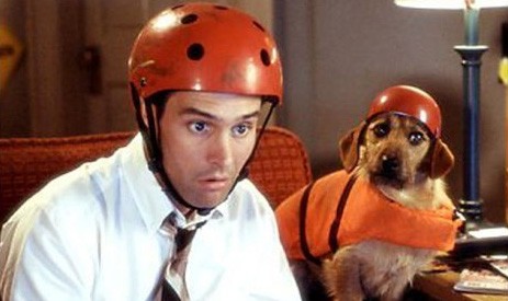 Kaza Geliyorum Demez Fotoğrafı