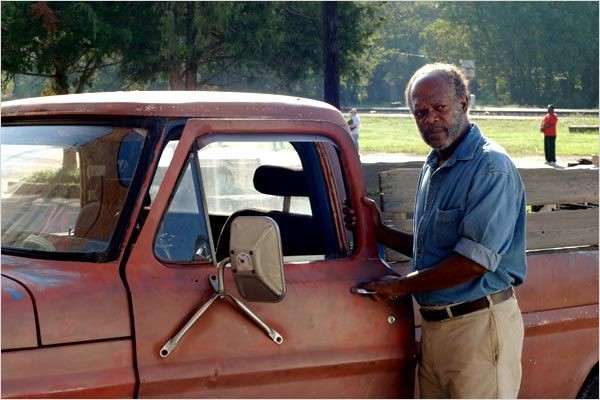 Kara Yılan İnliyor Fotoğrafı