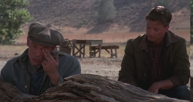 Fareler ve İnsanlar Fotoğrafı