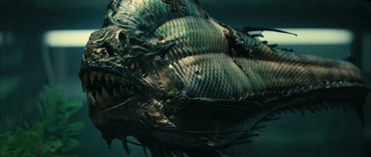 Pirana 3D Fotoğrafı