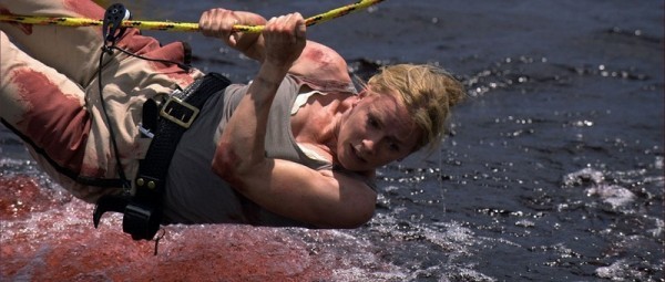 Pirana 3D Fotoğrafı