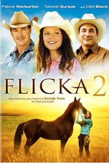 Flicka 2 (2010) afişi