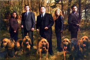 Without A  Trace fotoğrafı