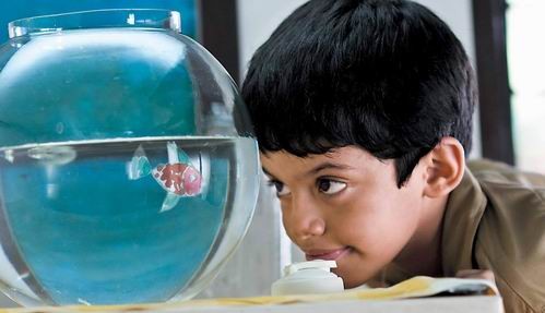 Her Çocuk Özeldir Fotoğrafı