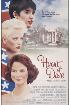 Heart Of Dixie (1989) afişi
