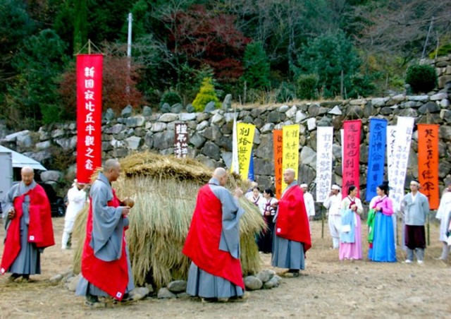 The Land Fotoğrafı