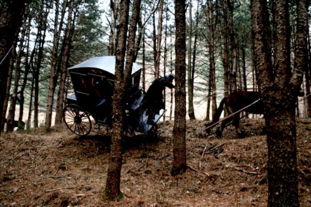 The Land Fotoğrafı