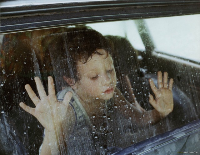 The Swamp Fotoğrafı