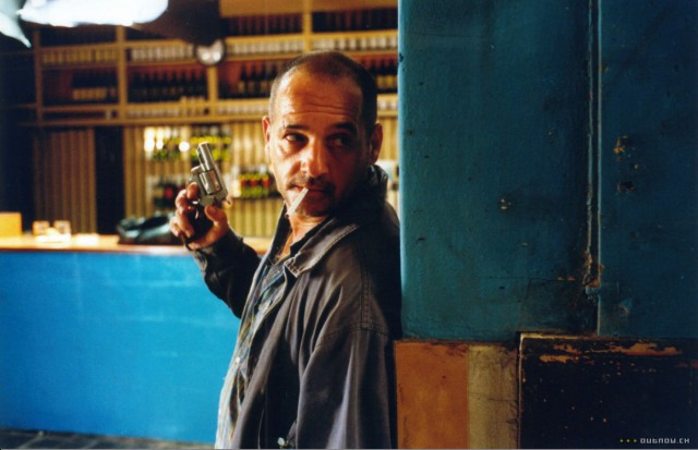 Red Bear Fotoğrafı