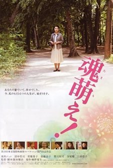 Zombie Night 2 (2006) afişi