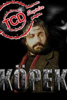 Köpek (2005) afişi