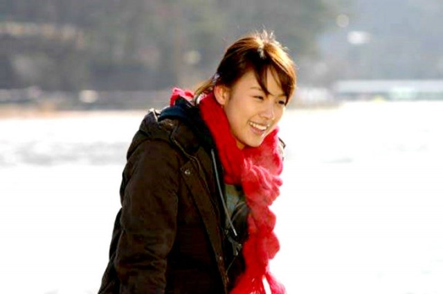 Three Leaf Clover Fotoğrafı