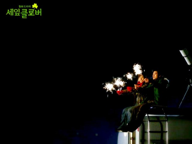 Three Leaf Clover Fotoğrafı