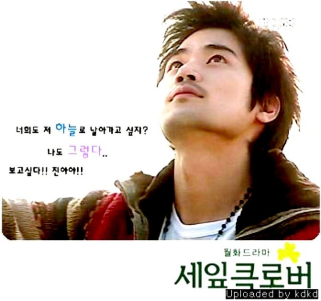 Three Leaf Clover Fotoğrafı