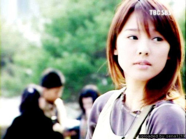 Three Leaf Clover Fotoğrafı