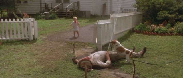 Mavi Kadife Fotoğrafı