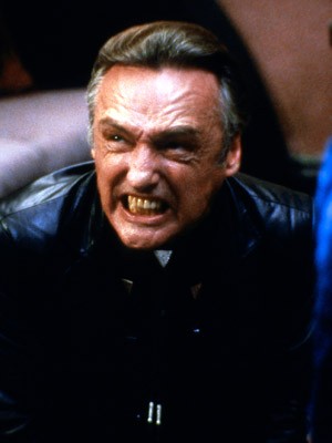 Mavi Kadife Fotoğrafı