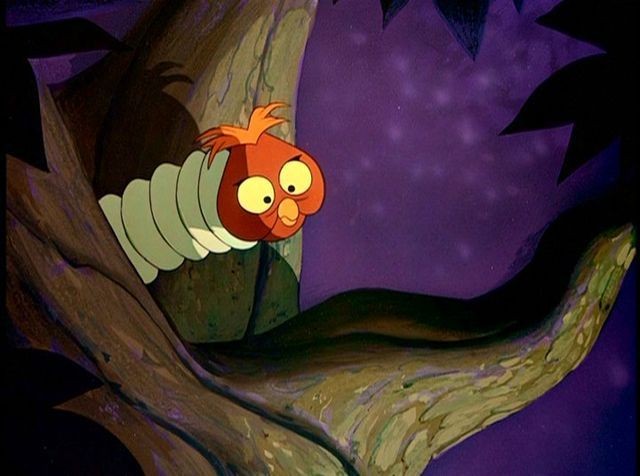 Alice Harikalar Diyarında Fotoğrafı