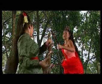 Sister Street Fighter fotoğrafı