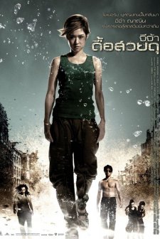 Raging Phoenix (2009) afişi