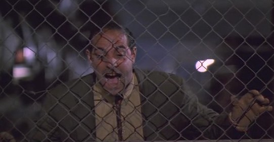 Afacan Köpek Beethoven Fotoğrafı