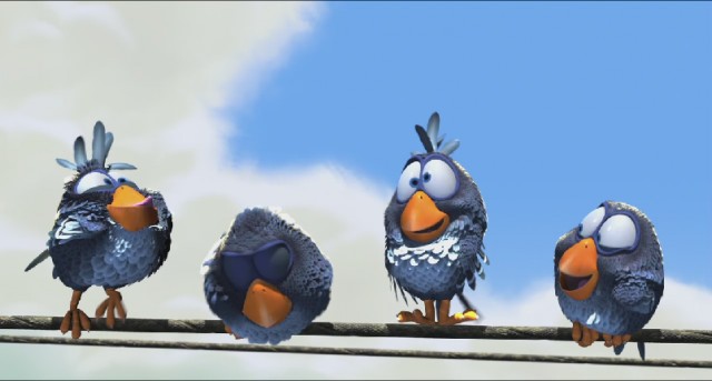 For the Birds Fotoğrafı