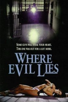 Where Evil Lies (1995) afişi