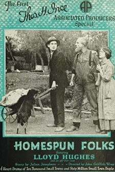 Homespun Folks (1920) afişi