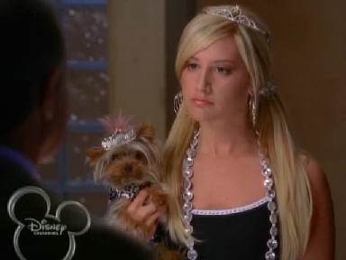 High School Musical 2 Fotoğrafı