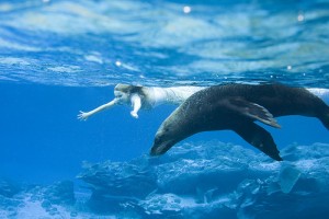 Macera Adası Fotoğrafı